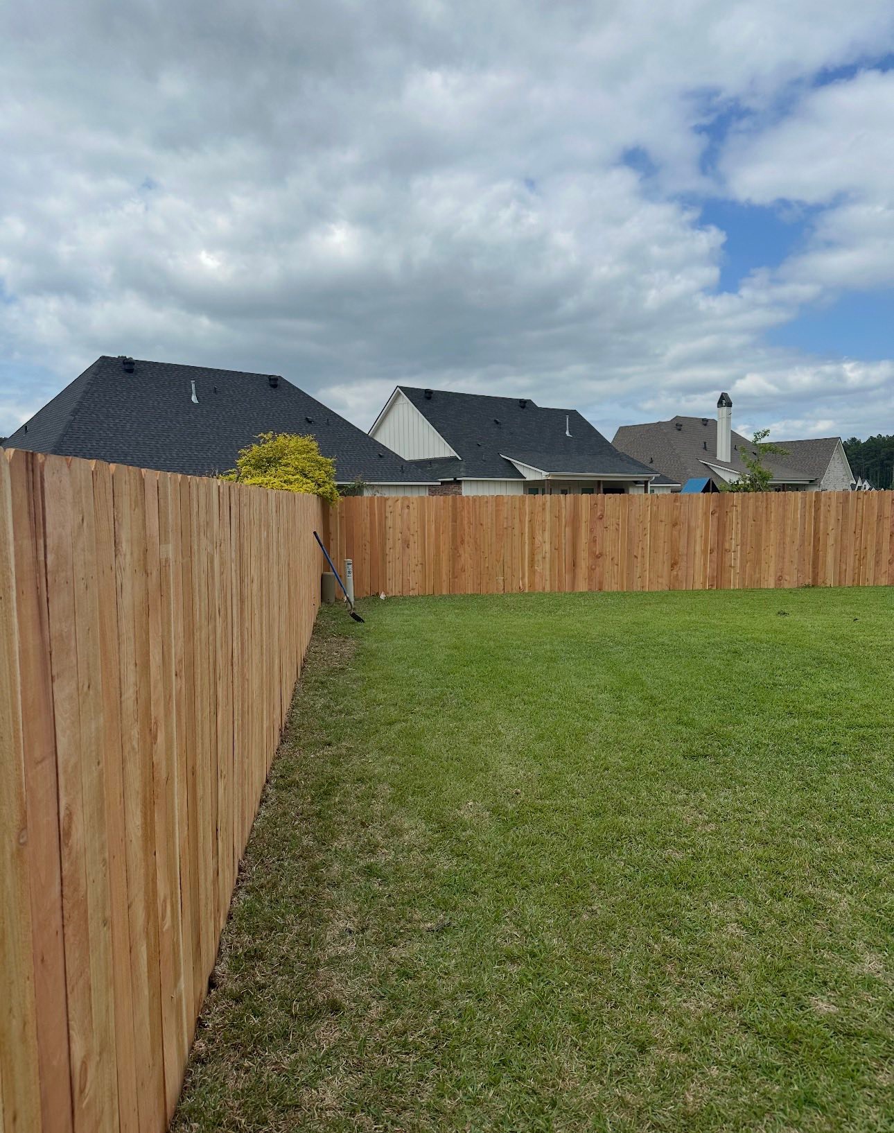 Freshly built cedar wood privacy fence along a Shreveport, LA backyard
